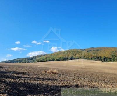 Sale Agrarian and forest land, Agrarian and forest land, Púchov, Slova