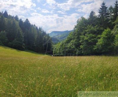 Sale Agrarian and forest land, Agrarian and forest land, Púchov, Slova