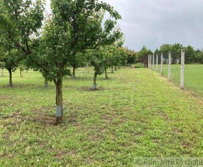 Sale Land – for living, Land – for living, Nové Zámky, Slovakia