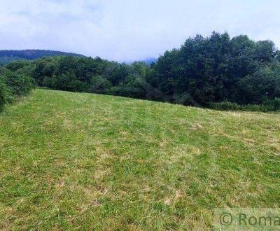 Sale Agrarian and forest land, Agrarian and forest land, Brezno, Slova