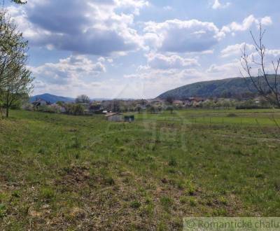 Sale Agrarian and forest land, Agrarian and forest land, Púchov, Slova