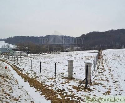 Sale Agrarian and forest land, Agrarian and forest land, Svidník, Slov