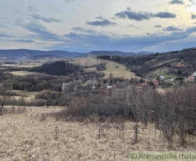 Sale Agrarian and forest land, Agrarian and forest land, Rožňava, Slov