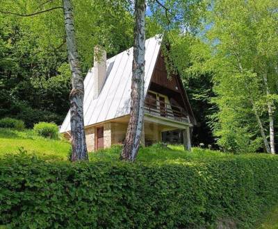 Sale Cottage, Cottage, Trenčín, Slovakia