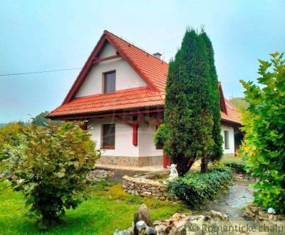 Sale Family house, Family house, Nové Mesto nad Váhom, Slovakia