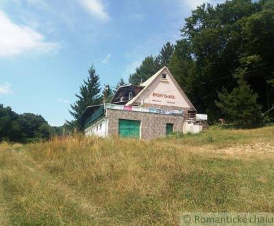 Sale Cottage, Cottage, Nové Mesto nad Váhom, Slovakia