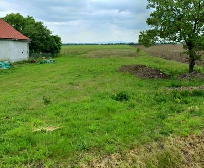 Sale Land – for living, Land – for living, Hlavná, Trebišov, Slovakia