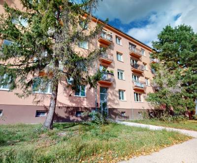 Sale Two bedroom apartment, Two bedroom apartment, Drieňová, Bratislav