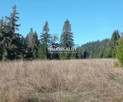 Sale Recreational land, Liptovský Mikuláš, Slovakia