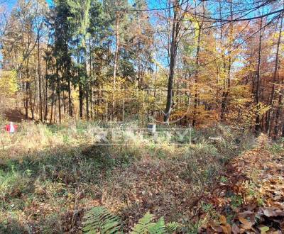 Sale Recreational land, Púchov, Slovakia