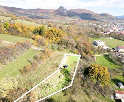 Sale Agrarian and forest land, Agrarian and forest land, Trenčín, Slov