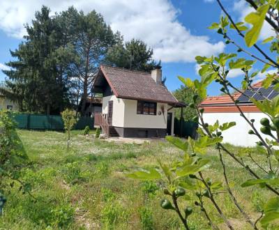 Sale Cottage, Cottage, Škorčia, Senec, Slovakia