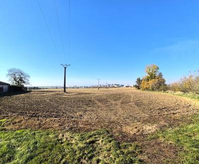 Sale Development land, Development land, Trnava, Slovakia