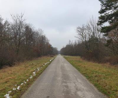 Sale Agrarian and forest land, Agrarian and forest land, Pezinok, Slov