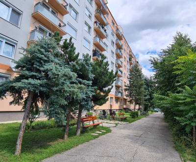 Sale Two bedroom apartment, Two bedroom apartment, Hurbanova, Piešťany