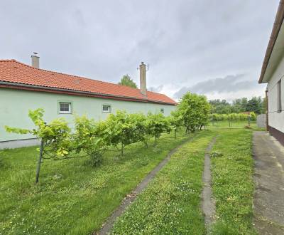 Sale Family house, Family house, Dunajská Streda, Slovakia