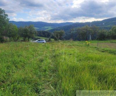 Sale Agrarian and forest land, Agrarian and forest land, Púchov, Slova