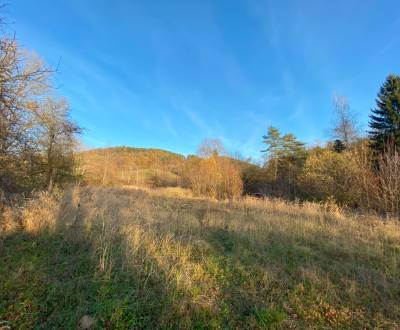 Sale Land – for living, Land – for living, Dohňany, Púchov, Slovakia