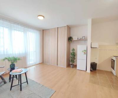 Rent Single studio, Single studio, Východná, Trenčín, Slovakia