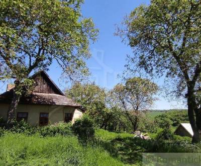 Sale Family house, Family house, Krupina, Slovakia