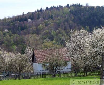 Sale Family house, Family house, Detva, Slovakia