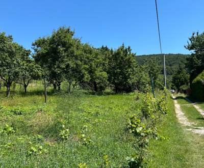 Sale Land – for living, Land – for living, Azalková, Nitra, Slovakia