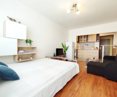 Rent Single studio, Single studio, Západná, Trenčín, Slovakia