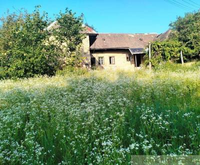 Sale Cottage, Cottage, Nové Mesto nad Váhom, Slovakia