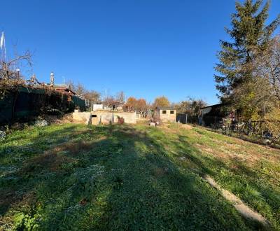 Sale Gardens, Gardens, Alejová, Košice - Juh, Slovakia