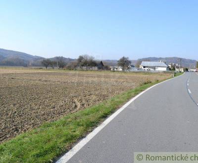 Sale Agrarian and forest land, Agrarian and forest land, Bardejov, Slo