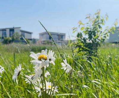 Sale Land – for living, Piešťany, Slovakia