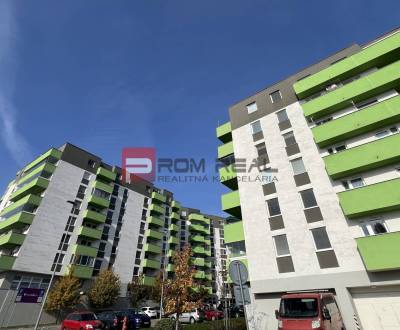 Sale One bedroom apartment, One bedroom apartment, Rustaveliho, Bratis