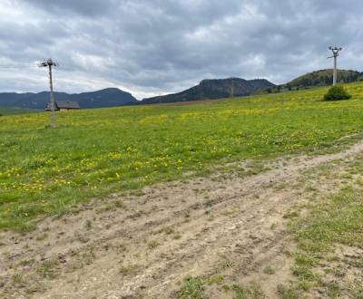 Sale Land – for living, Land – for living, Babicovská, Dolný Kubín, Sl