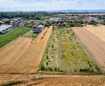 Sale Land – for living, Land – for living, Senecká, Senec, Slovakia