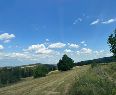 Sale Land – for living, Land – for living, Nový Svet, Detva, Slovakia