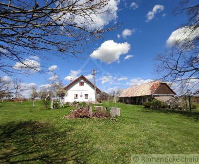 Sale Family house, Family house, Krupina, Slovakia