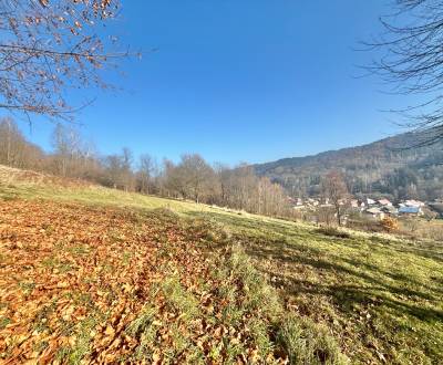 Sale Recreational land, Recreational land, Oščadnica, Čadca, Slovakia