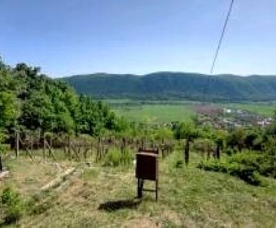 Sale Vineyards, Vineyards, Rožňava, Slovakia