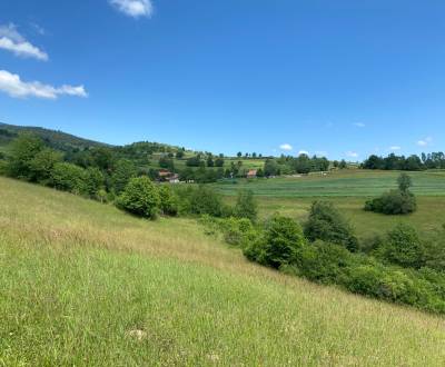 Sale Land – for living, Land – for living, Detva, Slovakia