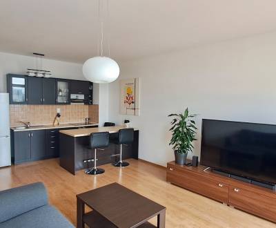 Rent One bedroom apartment, One bedroom apartment, Vysokoškolákov, Žil