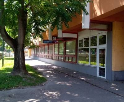 Rent Commercial premises, Commercial premises, Rajecká, Bratislava - V