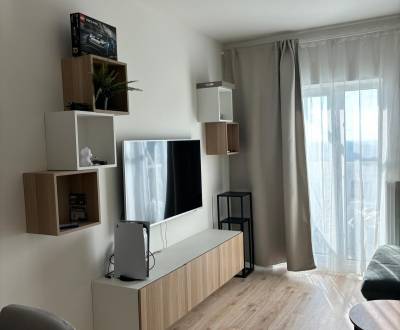 Rent One bedroom apartment, One bedroom apartment, Labutia, Bratislava