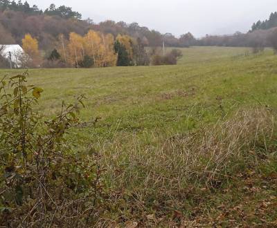 Sale Recreational land, Recreational land, Hrnčiarové - Lubina, Nové M