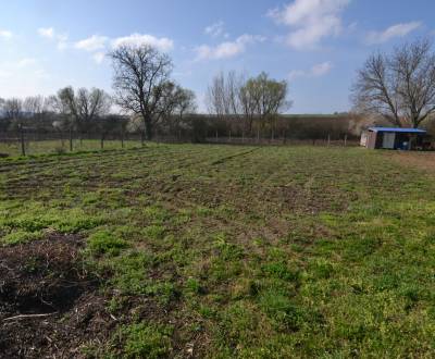 Sale Land – for living, Land – for living, Nové Zámky, Slovakia