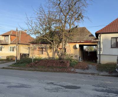 Sale Family house, Family house, Bzince, Topoľčany, Slovakia