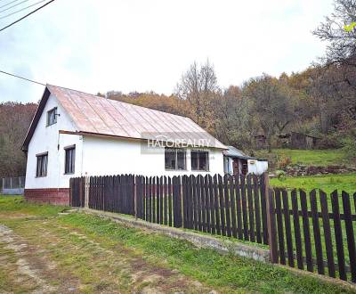 Sale Family house, Poltár, Slovakia