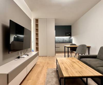 Rent One bedroom apartment, One bedroom apartment, Bratislava - Petrža