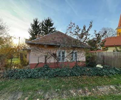 Sale Family house, Family house, Čechy, Nové Zámky, Slovakia