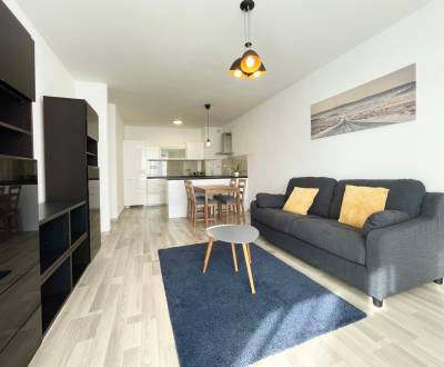 Rent One bedroom apartment, One bedroom apartment, Béžová, Bratislava 