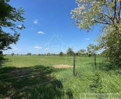 Sale Land – for living, Land – for living, Dunajská Streda, Slovakia